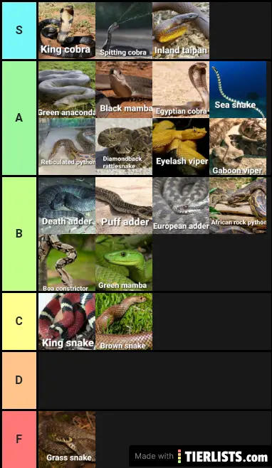 Snake tier list