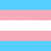 Trans Rights Avatar