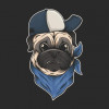 zikoz Avatar